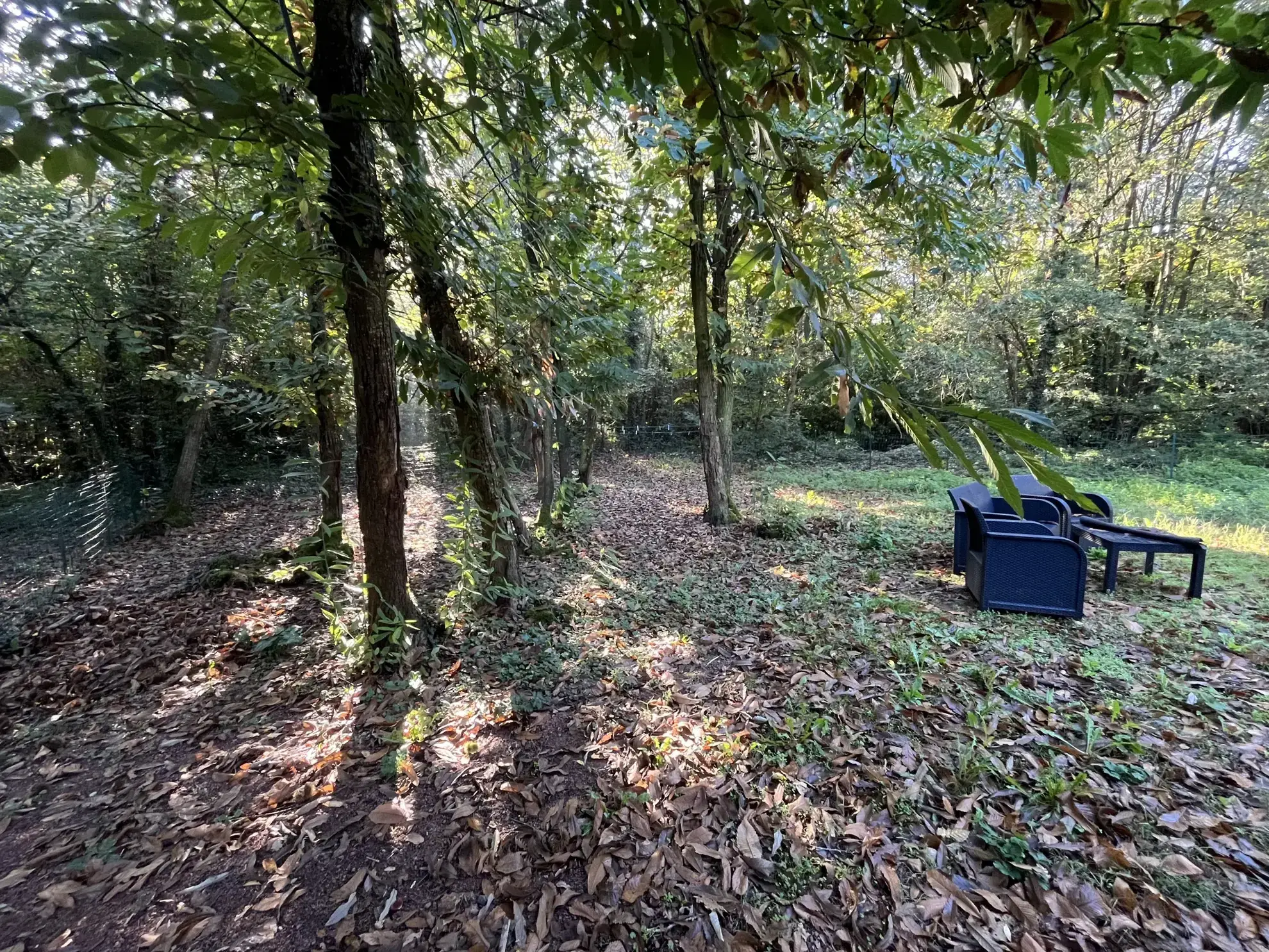Maison de plain-pied à Thouars avec terrain boisé de 700 m² 