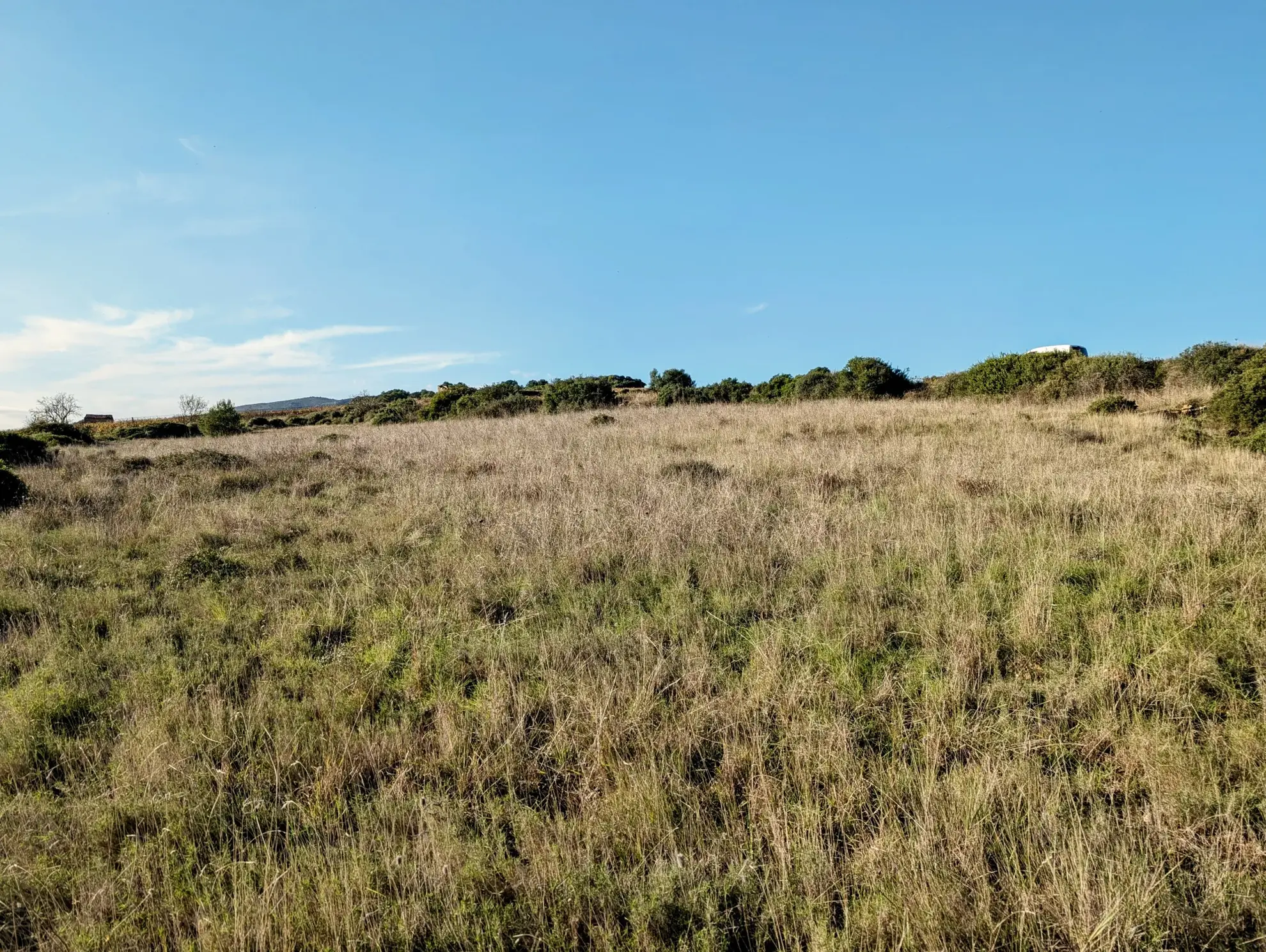 Terrain agricole avec puits à Murviel-les-Béziers de 4950 m² 