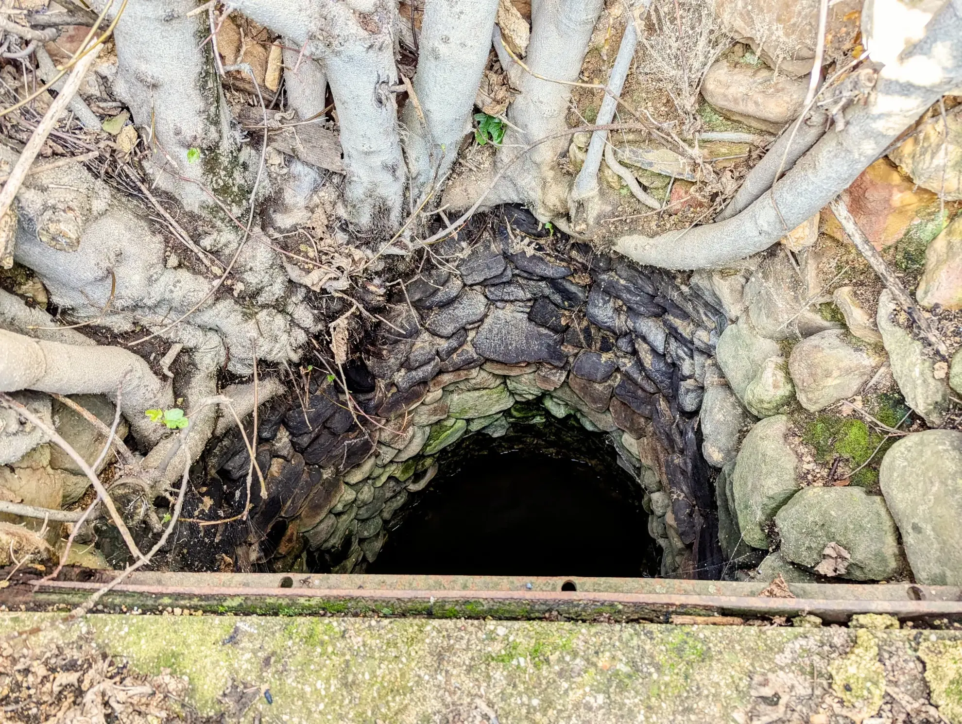 Terrain agricole avec puits à Murviel-les-Béziers de 4950 m² 