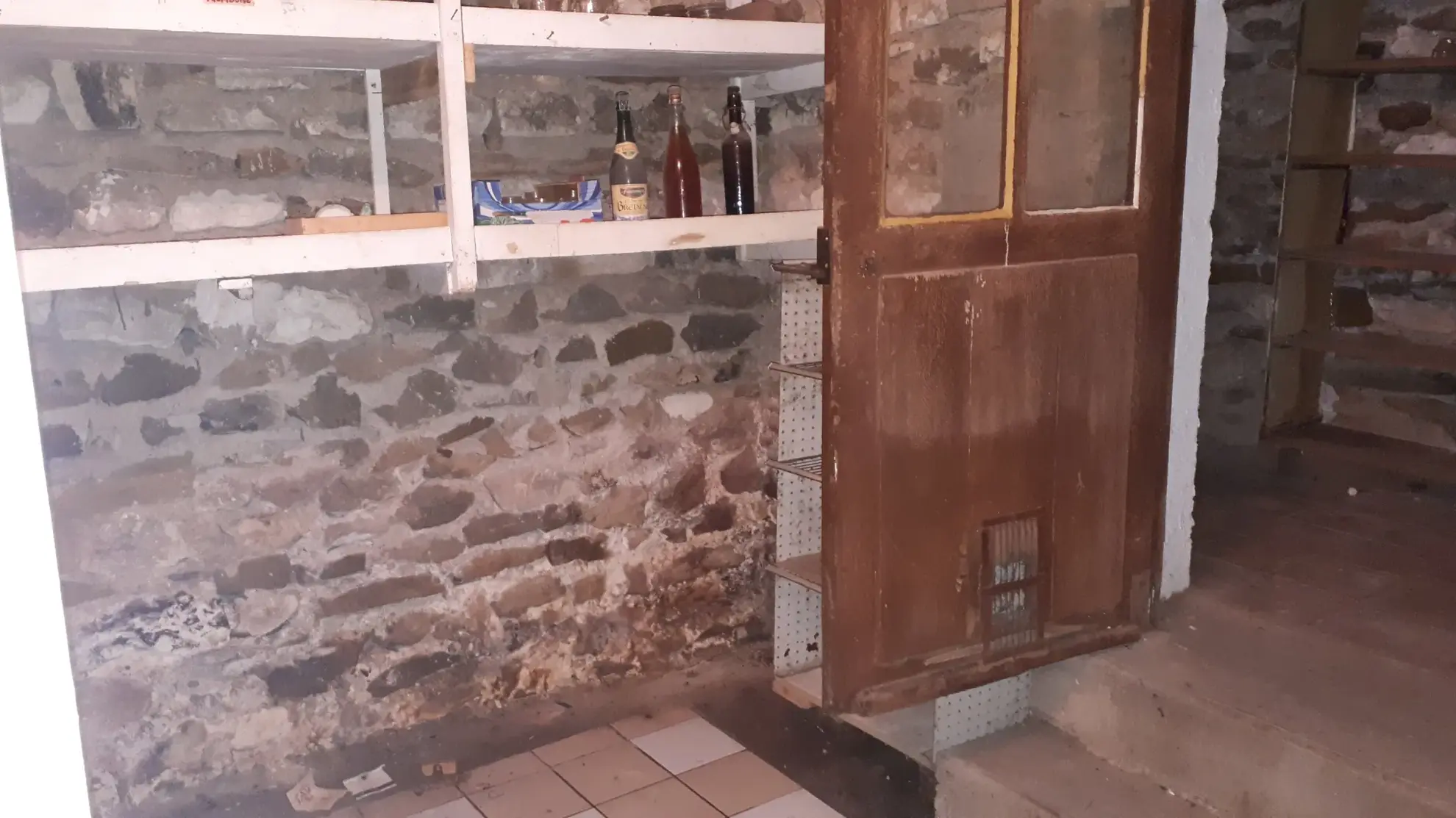 Belle maison avec annexe sur 5000 m² de terrain à Les Ormes (86) 