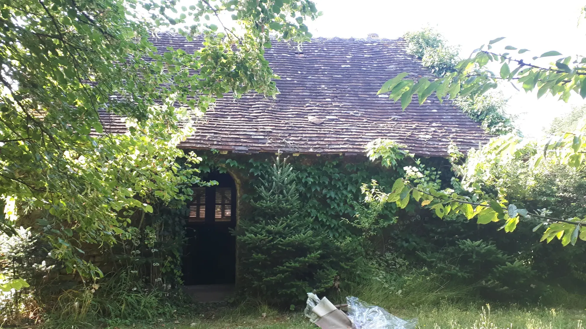 Belle maison avec annexe sur 5000 m² de terrain à Les Ormes (86) 