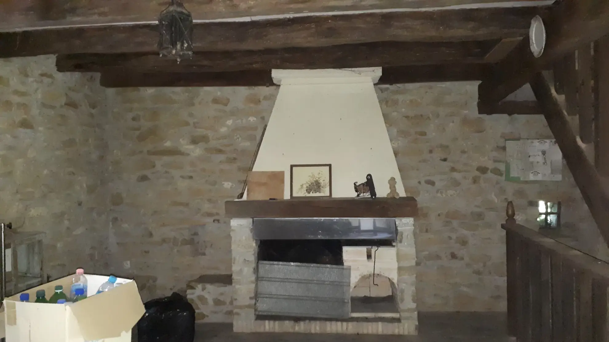 Belle maison avec annexe sur 5000 m² de terrain à Les Ormes (86) 