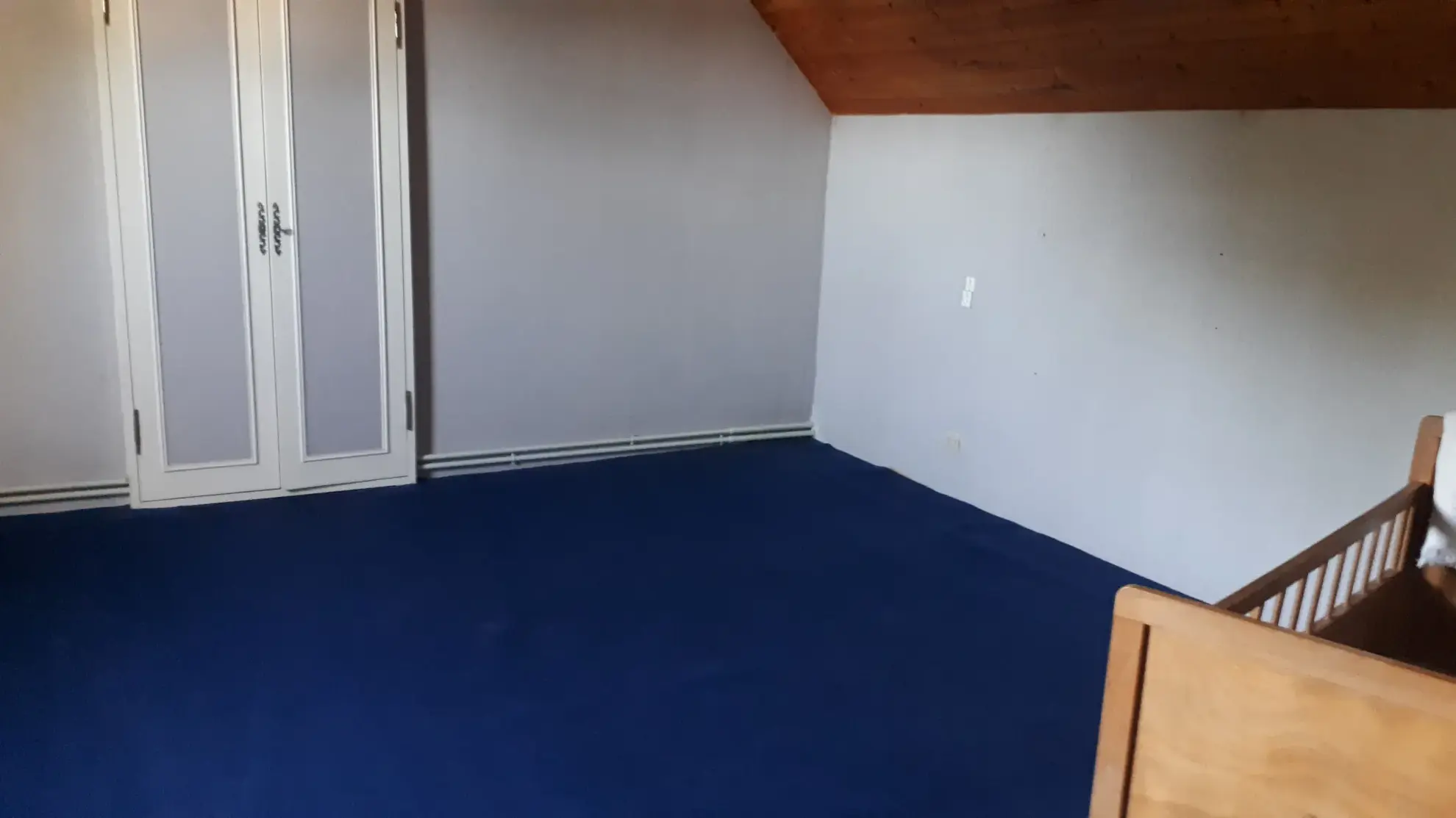 Belle maison avec annexe sur 5000 m² de terrain à Les Ormes (86) 