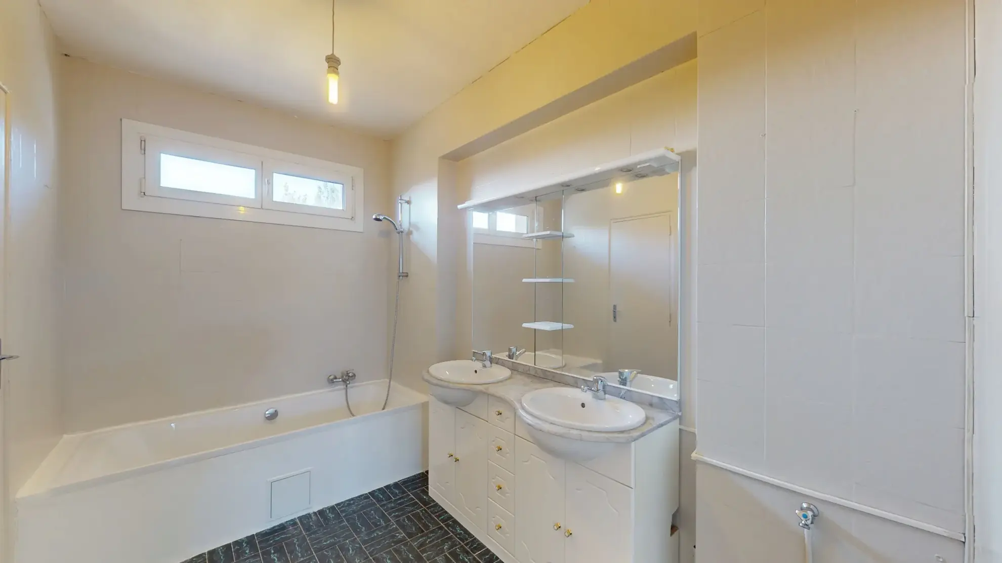 Grand appartement familial avec jardin et panneaux photovoltaïques à Frouzins 