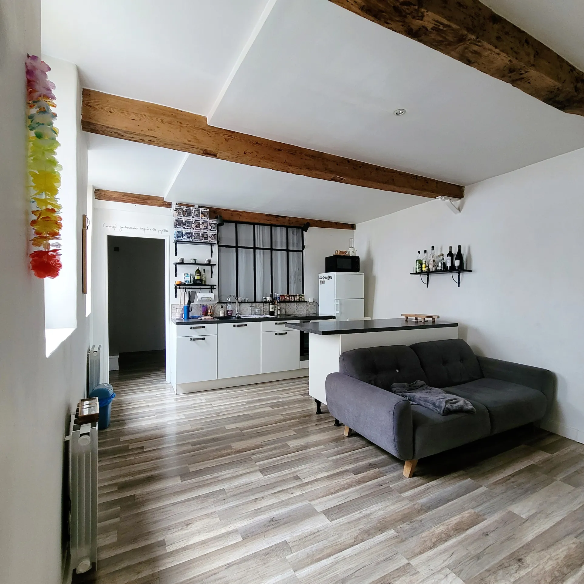 Appartement T2 rénové de 42 m² à Trévoux avec chambre et cave