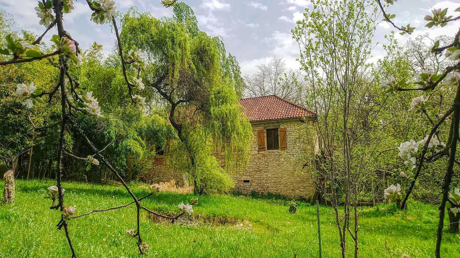 Maison en pierre avec terrain arboré et terrasse à Boissieres (46150) 