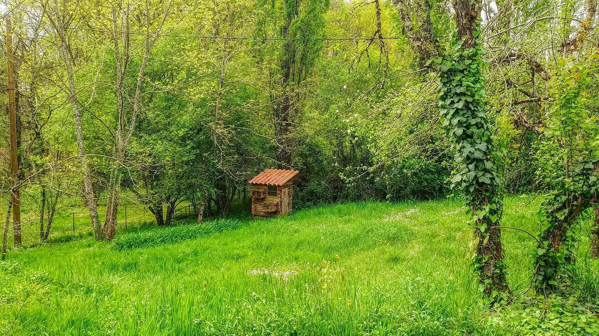 Maison en pierre avec terrain arboré et terrasse à Boissieres (46150) 