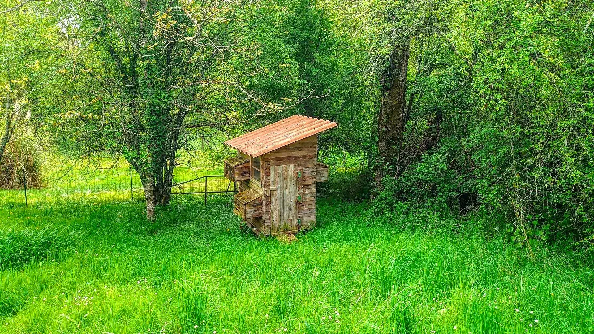 Maison en pierre avec terrain arboré et terrasse à Boissieres (46150) 