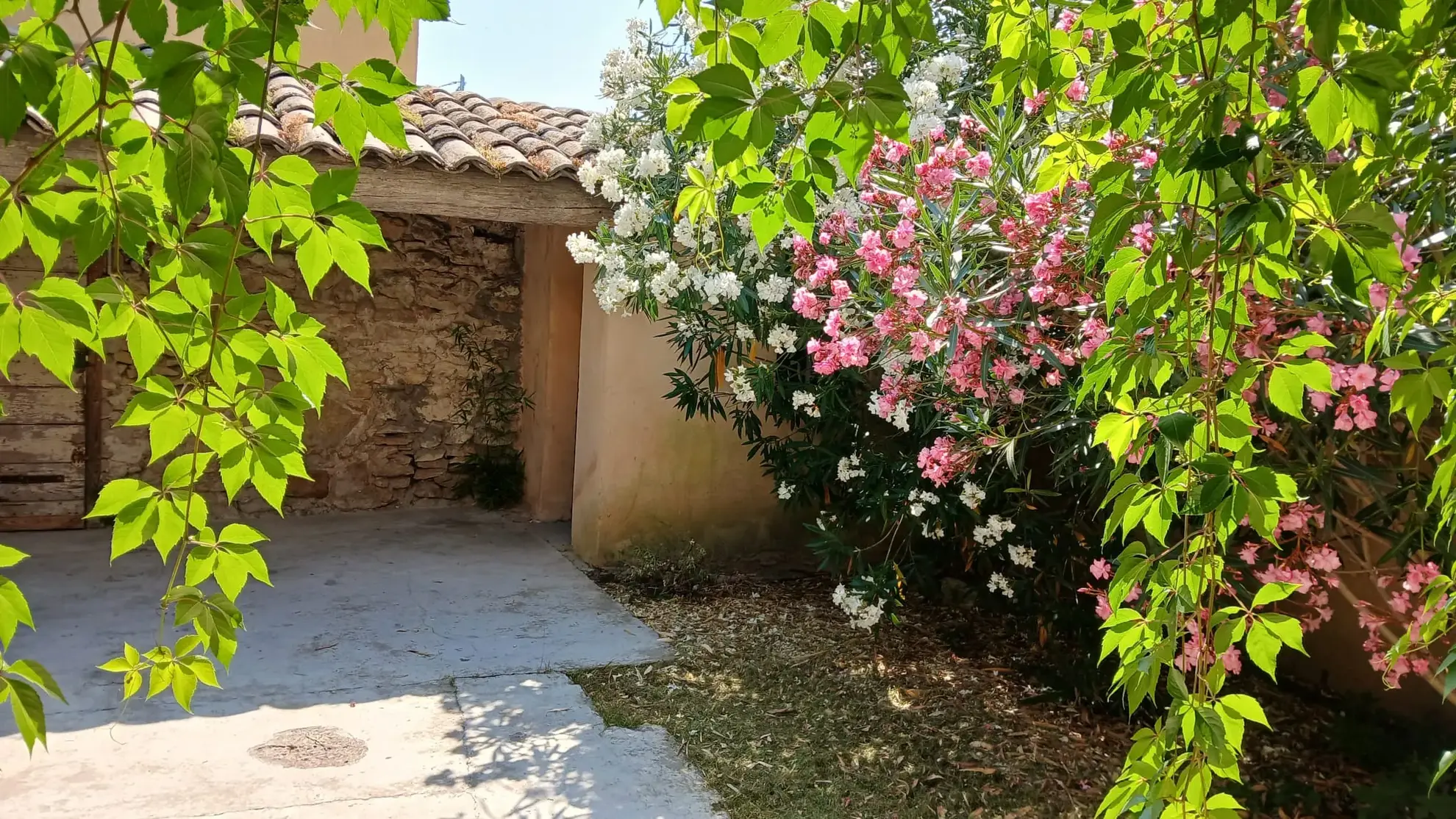 Maison de village à Caderousse de 106 m² avec jardin, proche des commodités 