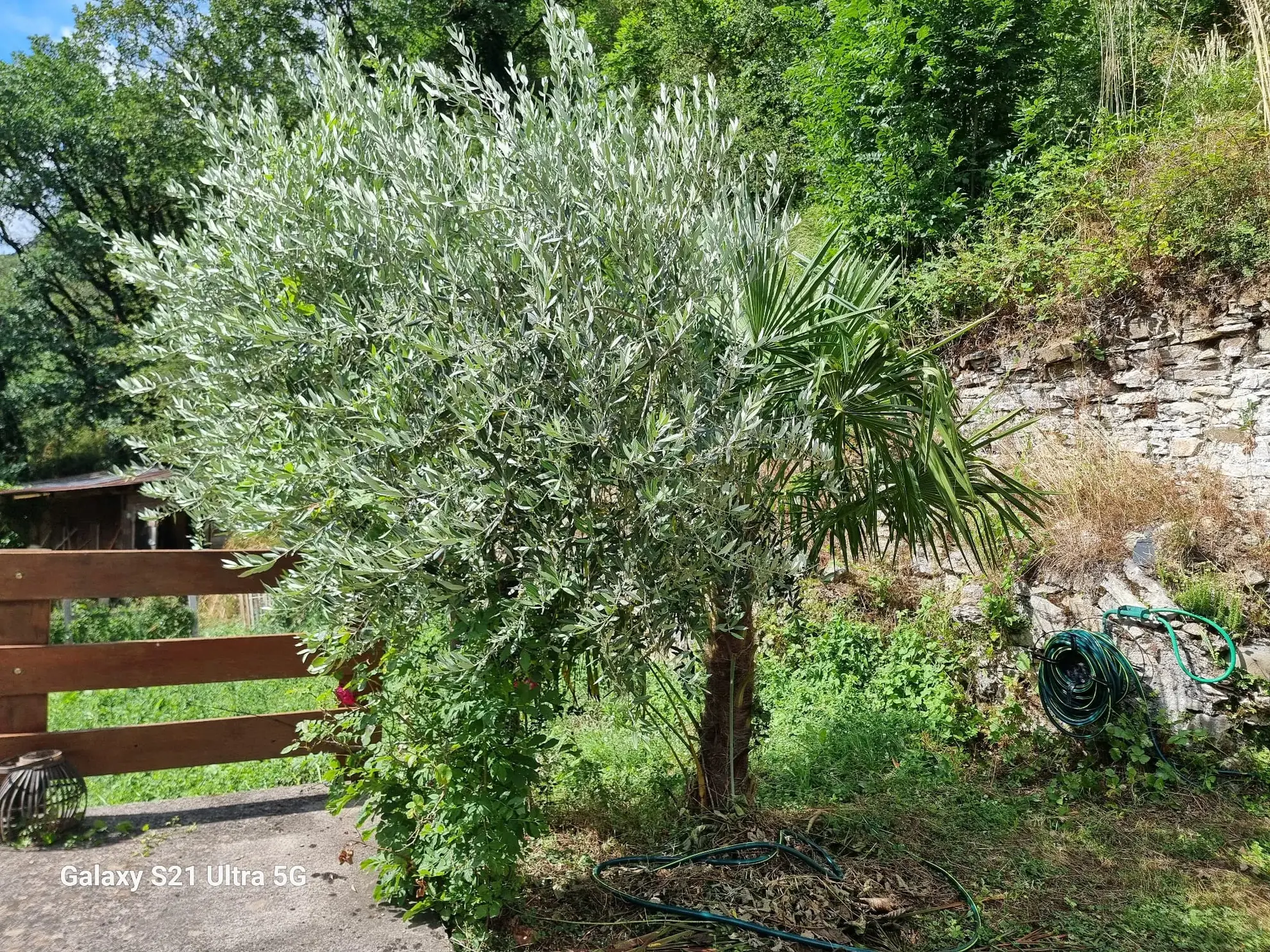 Belle maison avec terrain à Brusque, 3 chambres, vue panoramique, potentiel indépendant 