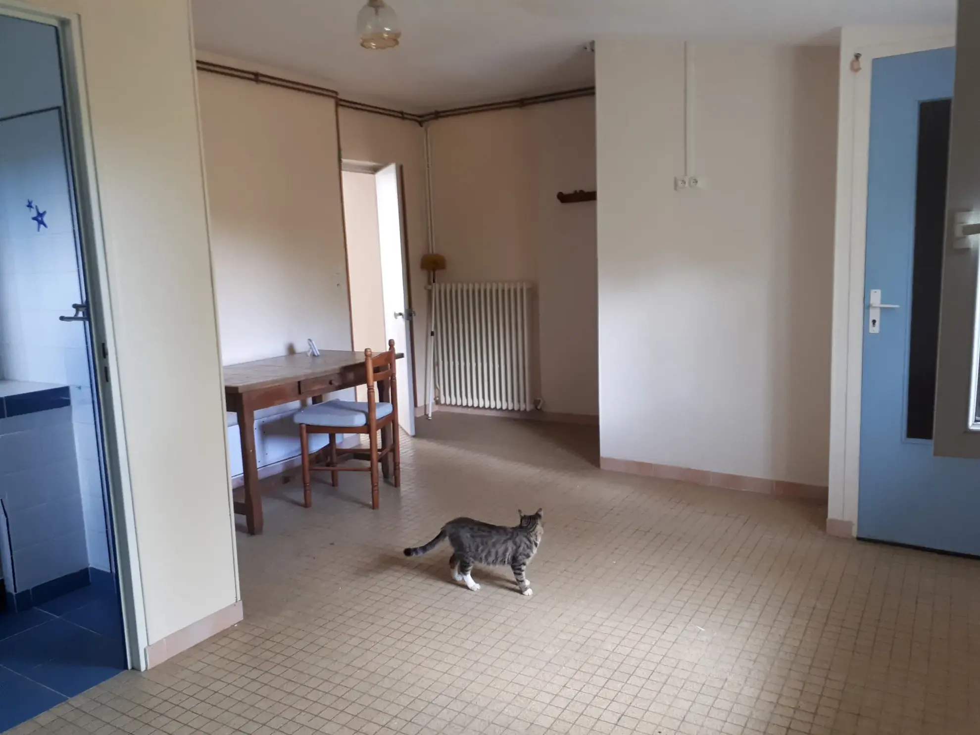 Ensemble immobilier de charme à Dangé-Saint-Romain avec maison, corps de ferme et dépendances 