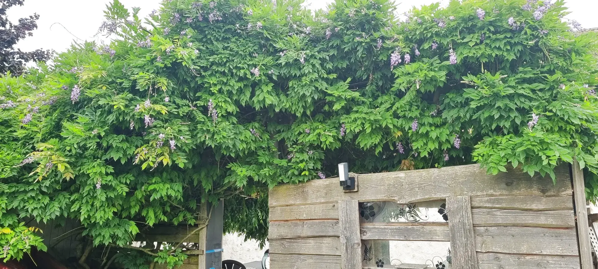 Maison atypique de 140 m² avec grand jardin à Autainville 