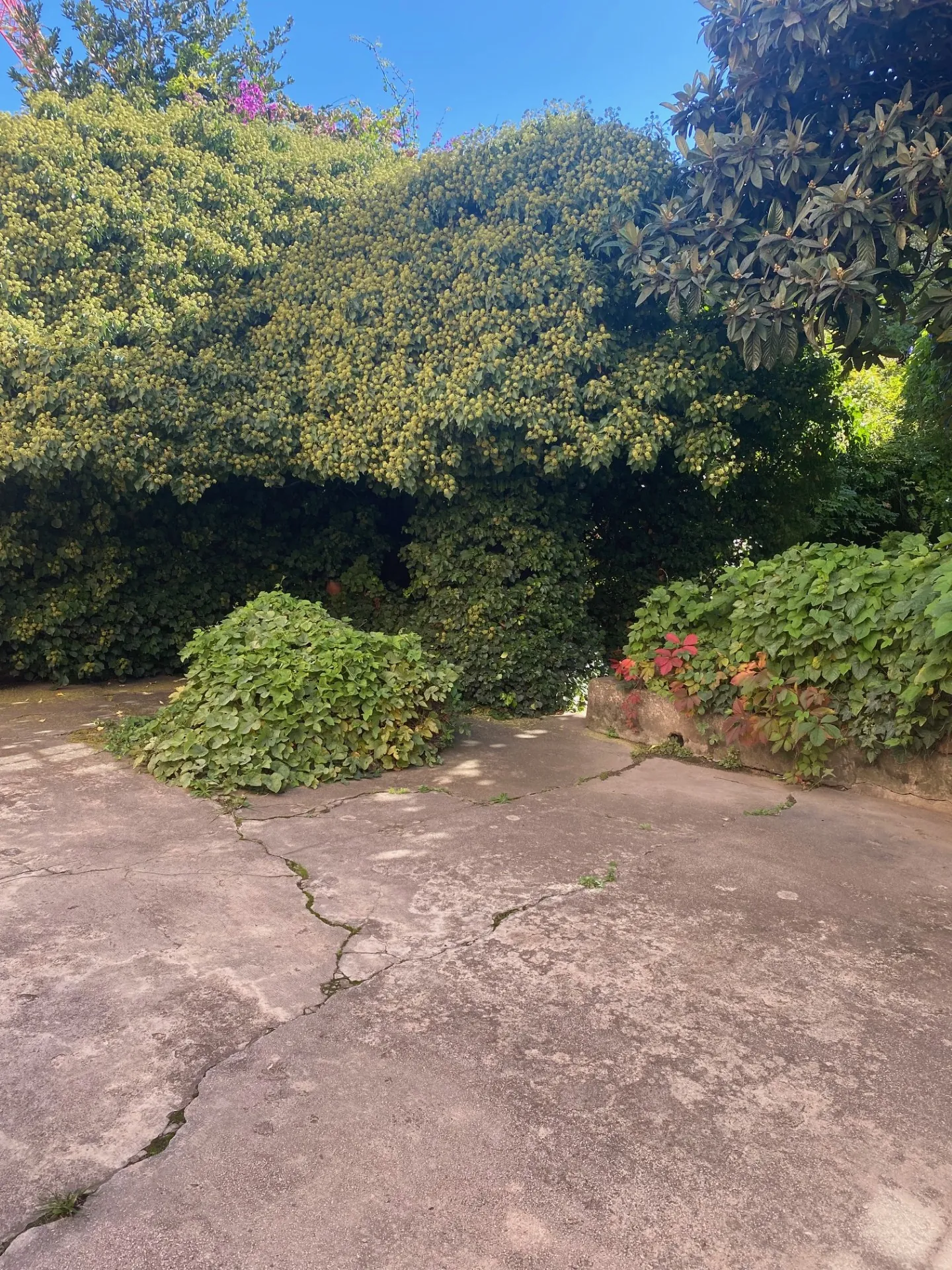 Maison de ville à Marseille 14e avec grand potentiel de rénovation et parking privé 