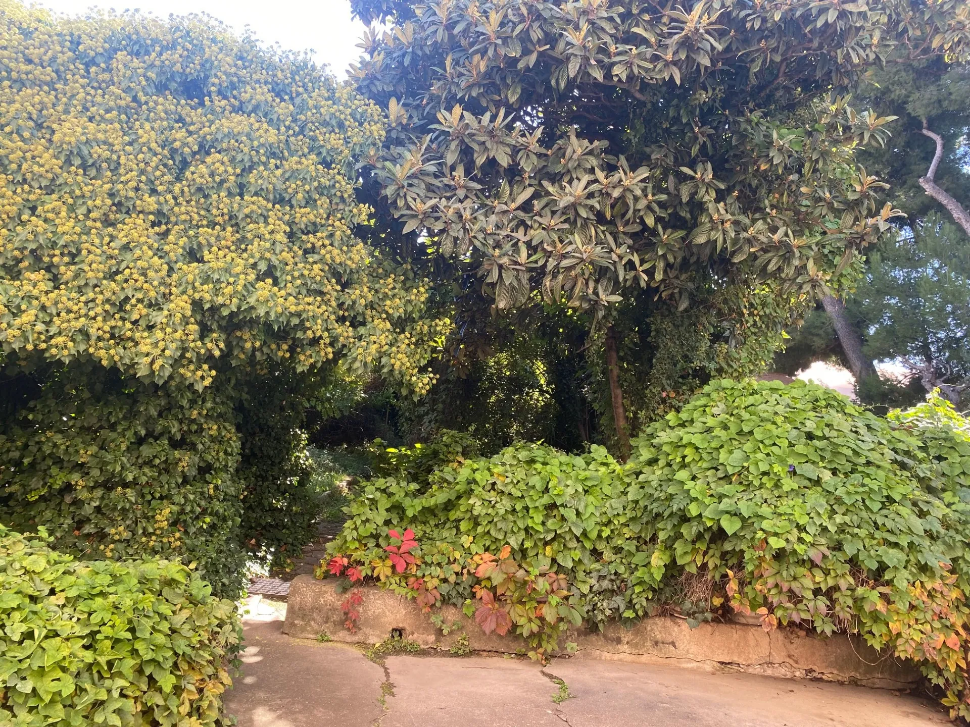 Maison de ville à Marseille 14e avec grand potentiel de rénovation et parking privé