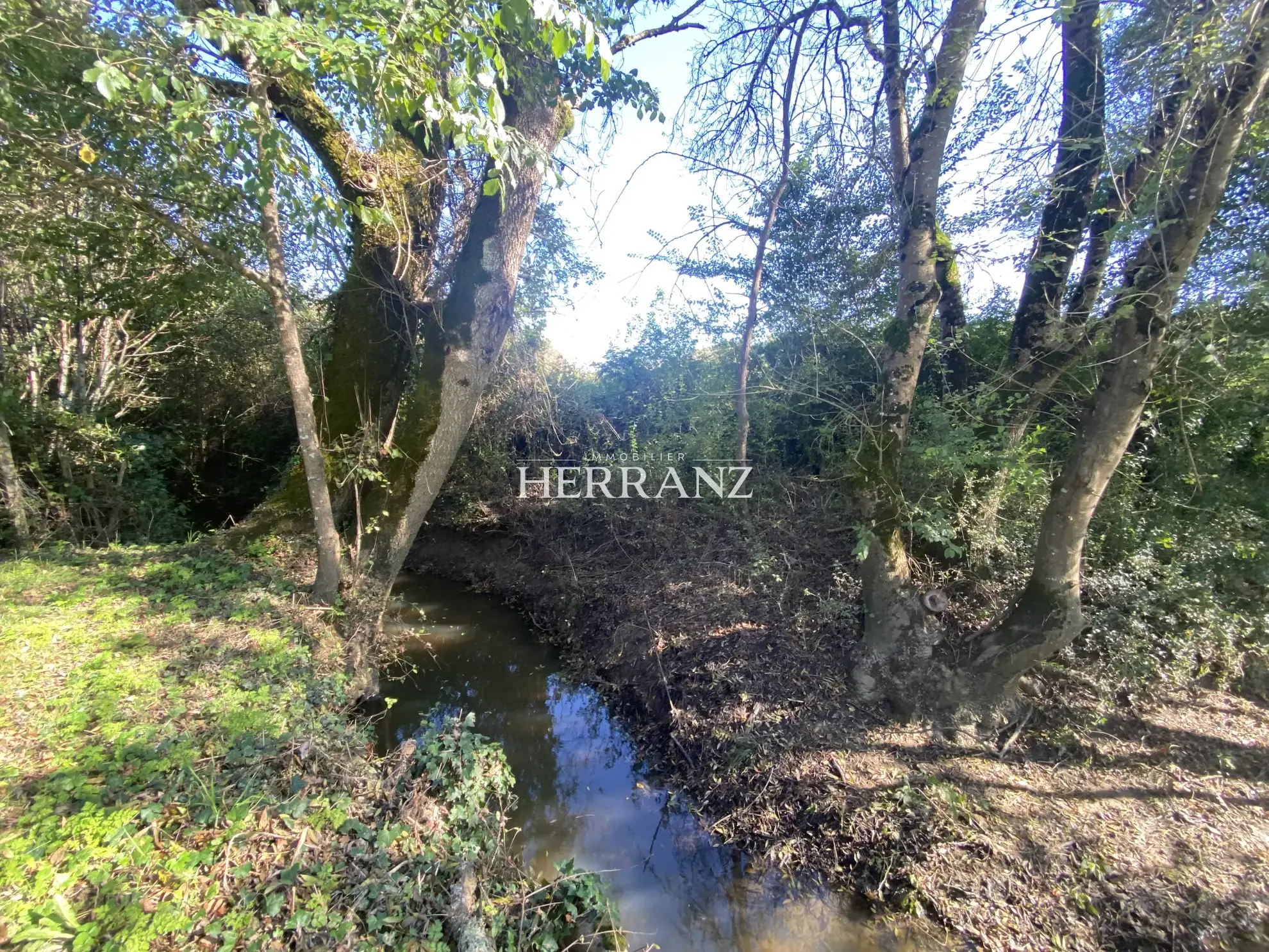 Maison de campagne avec grand terrain à proximité de Saint-Émilion et Libourne 