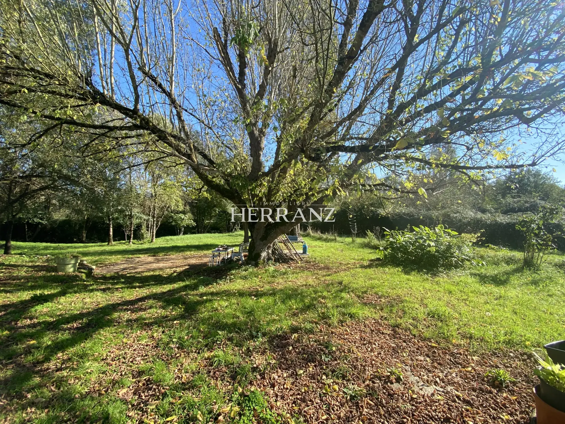 Maison de campagne avec grand terrain à proximité de Saint-Émilion et Libourne