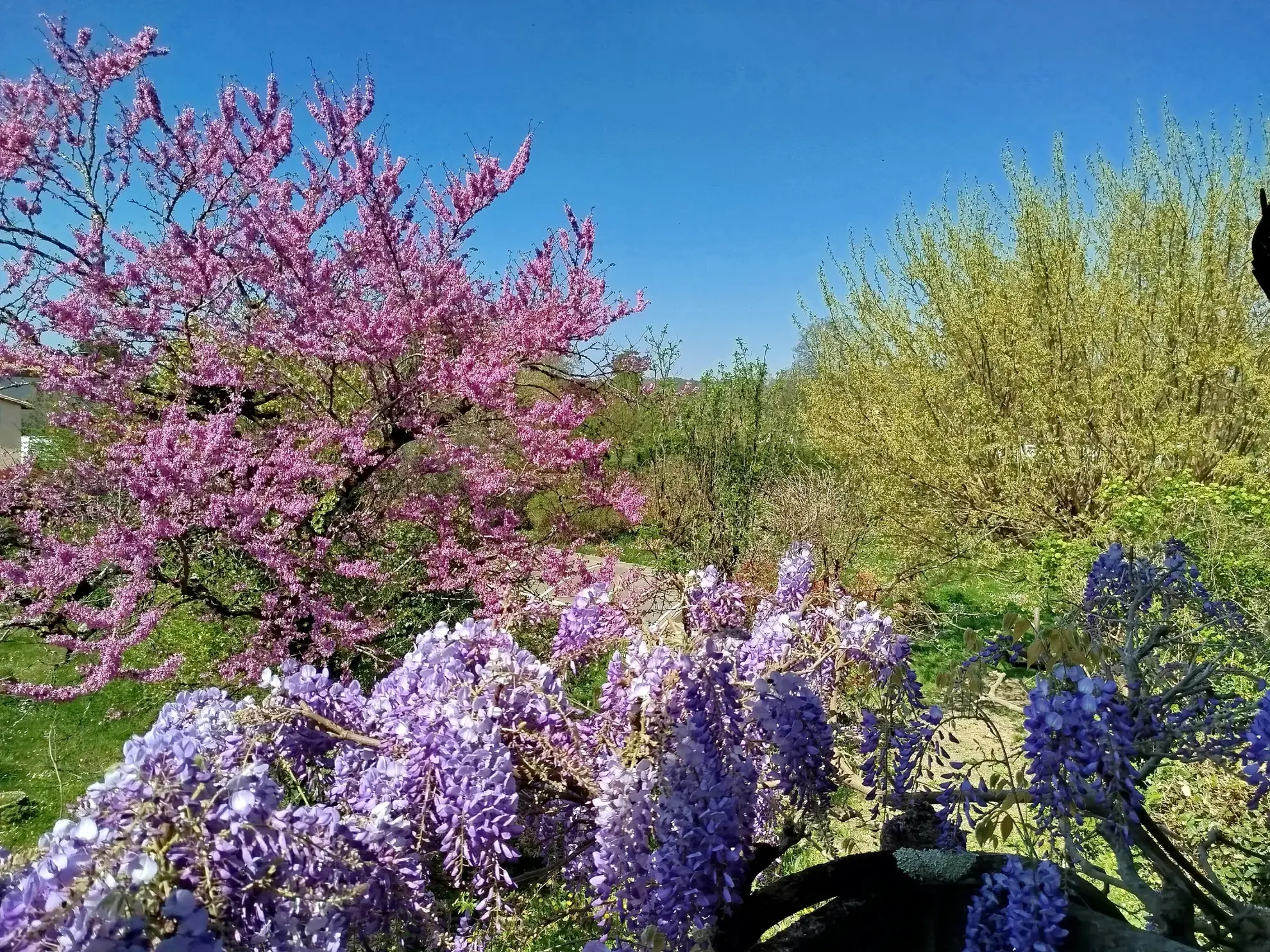 Belle maison de village avec piscine et jardin à Lamothe-Montrevel 