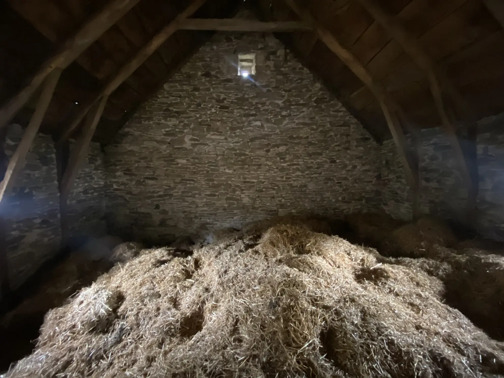 Magnifique ensemble immobilier en pierre avec terrain constructible à Ségur (Aveyron) 