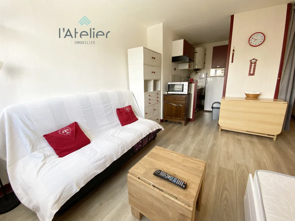 Studio à Saint Lary Soulan avec vue sur la vallée d'Aure, idéal pour séjours montagnards et activités été/hiver 