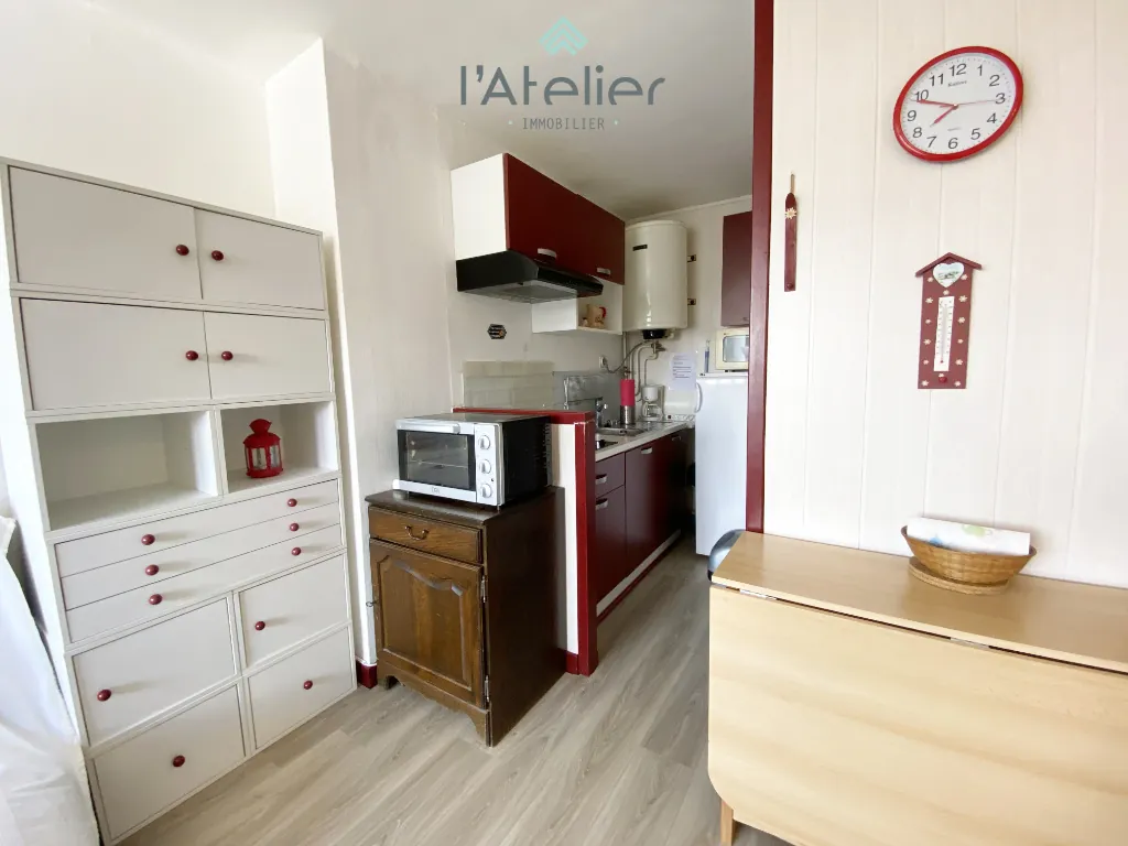 Studio à Saint Lary Soulan avec vue sur la vallée d'Aure, idéal pour séjours montagnards et activités été/hiver 