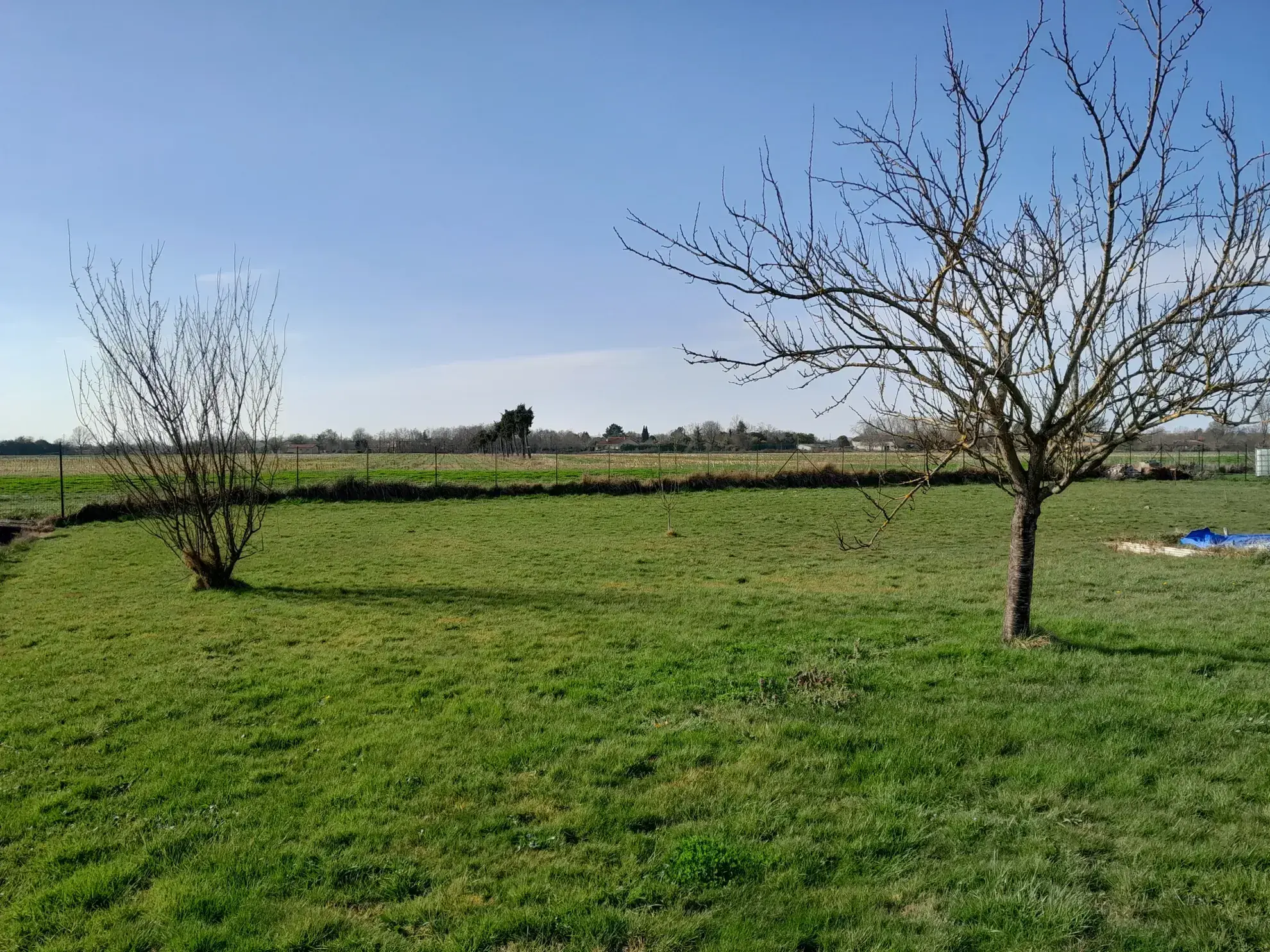 Charmante maison de plain-pied avec jardin à Castelsarrasin 