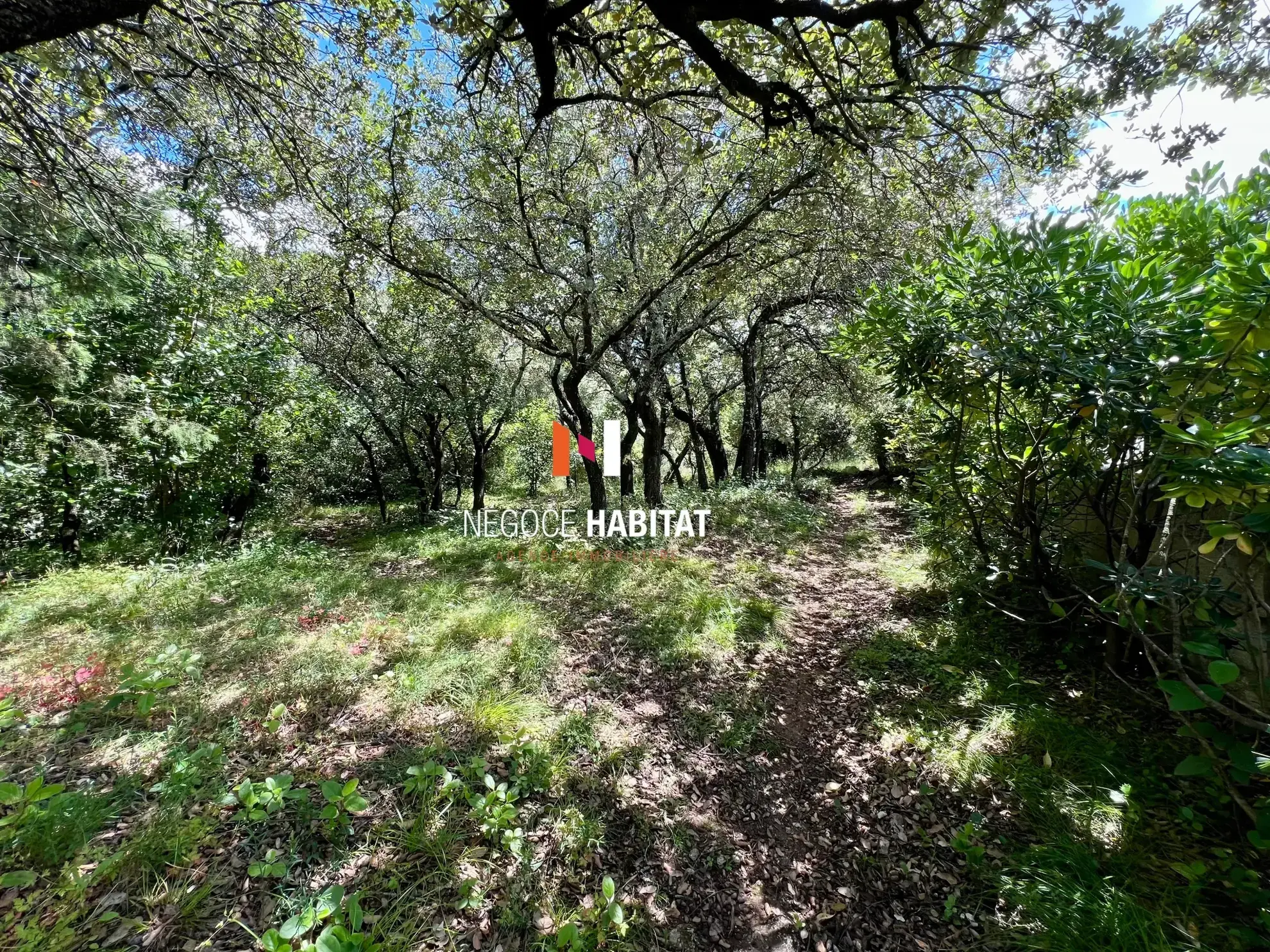 Terrain à bâtir de 800 m² à vendre à Boisseron en zone résidentielle 