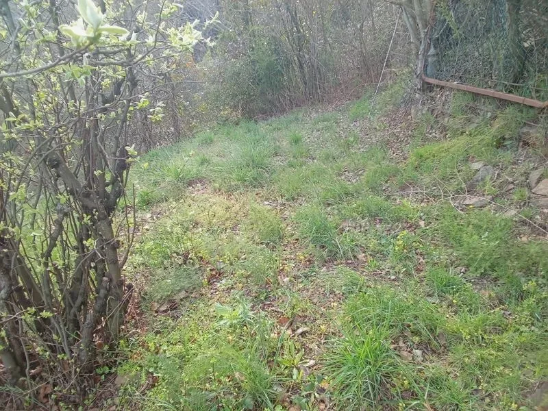 À vendre maison de village avec terrasse et jardin à Arles sur Tech 