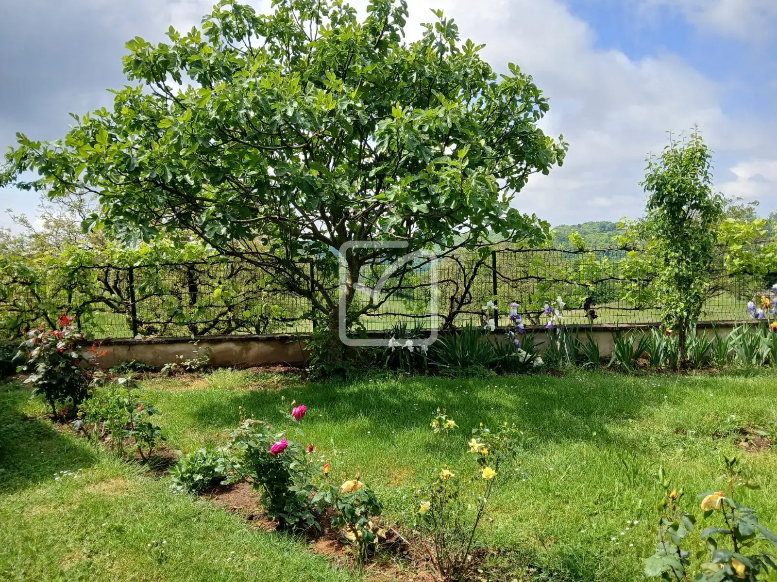 A saisir ensemble de 2 maisons rénovées avec vue à Chenailler Mascheix 