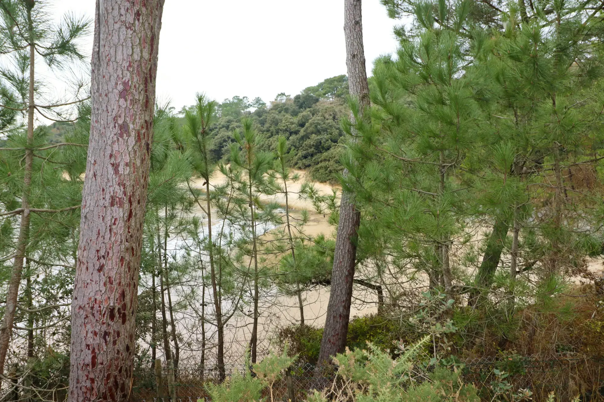 Maison de vacances à Meschers-sur-Gironde avec accès plage et jardin privé 