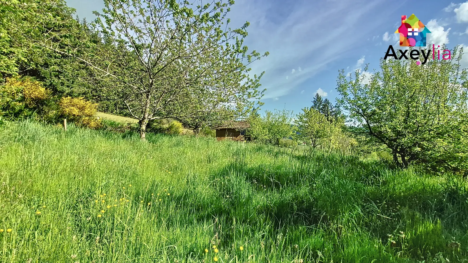 Maison 3 chambres avec grand terrain à Matour, secteur calme et vue dégagée 