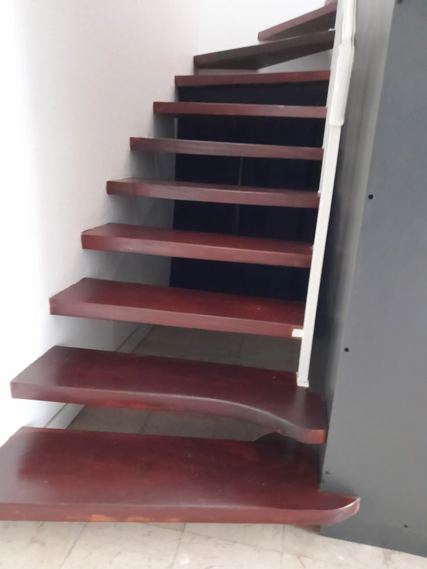 Immeuble avec jardin à Moissac - Opportunité professionnelle ou résidentielle 