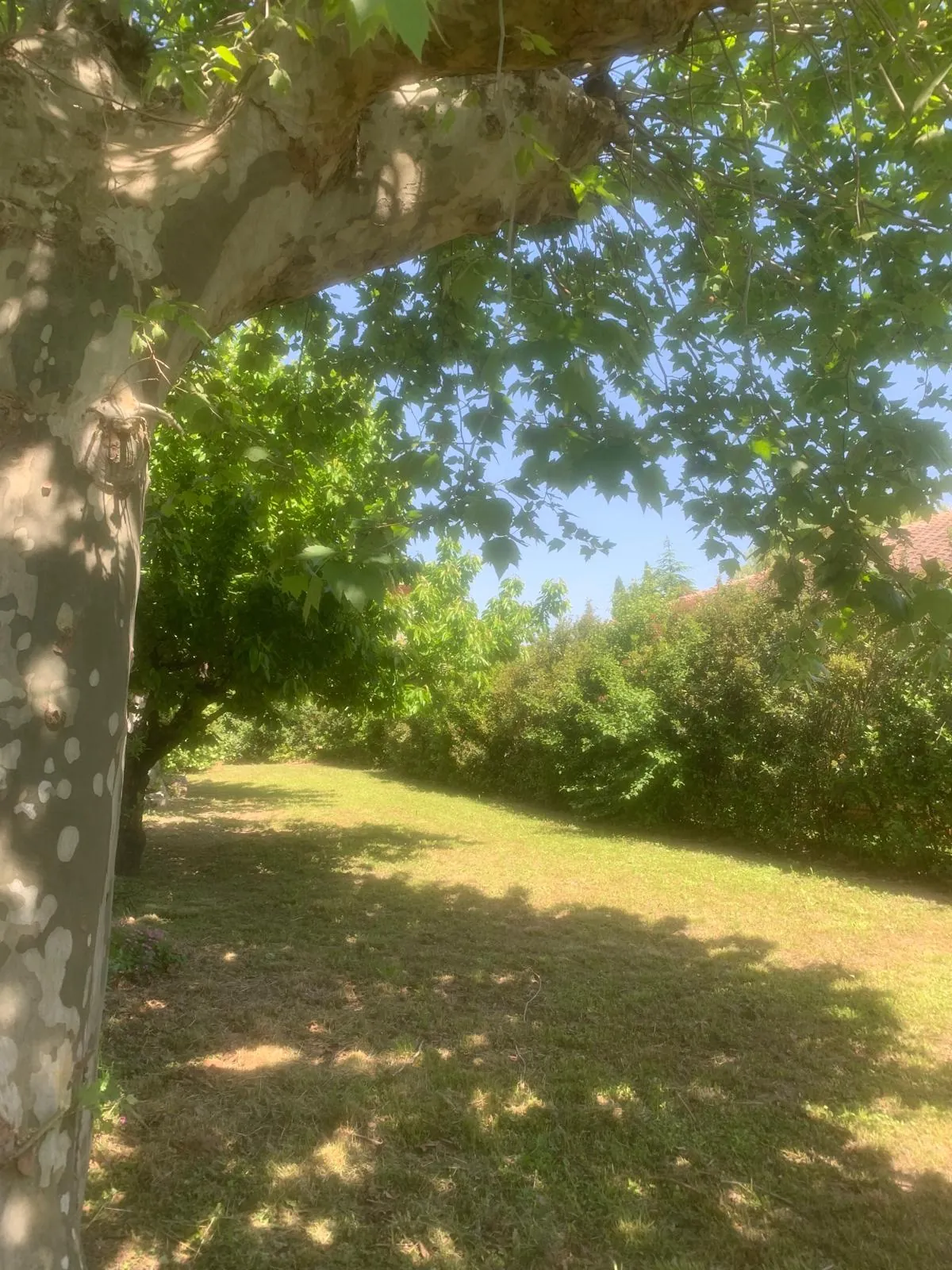 Charmante maison en pierres à Aubenas avec potentiel de restauration et jardin plat 