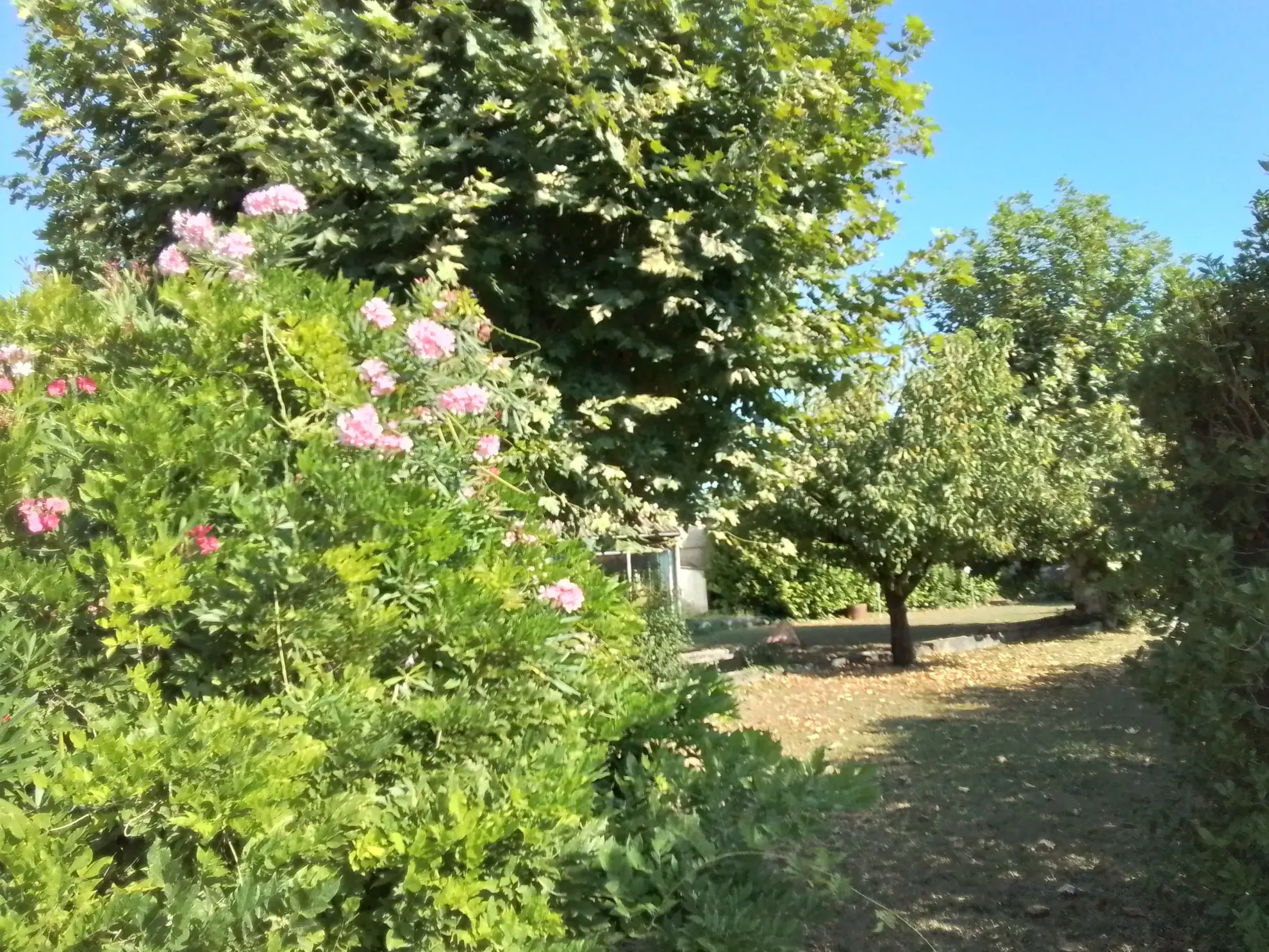 Charmante maison en pierres à Aubenas avec potentiel de restauration et jardin plat 