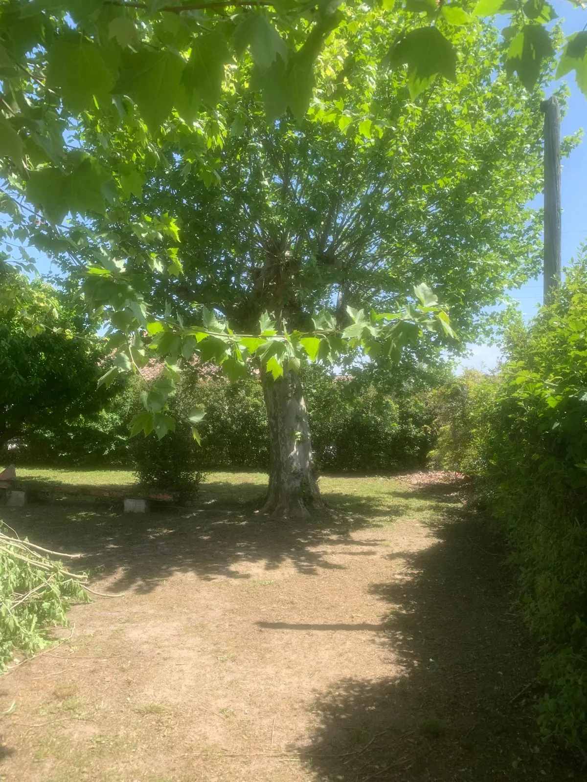 Charmante maison en pierres à Aubenas avec potentiel de restauration et jardin plat 