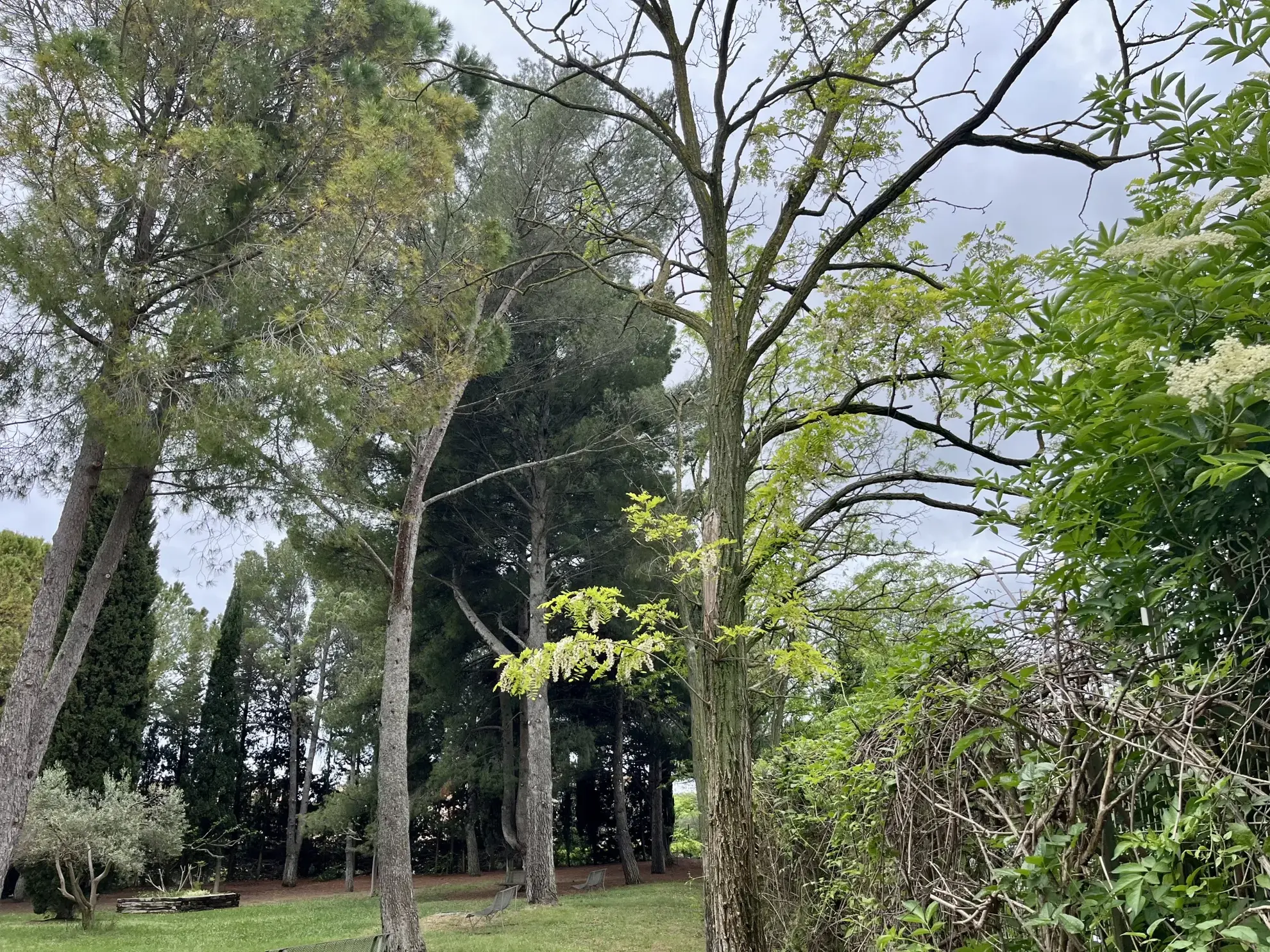 Appartement T3 lumineux avec loggia dans résidence sécurisée à Montpellier Estanove 