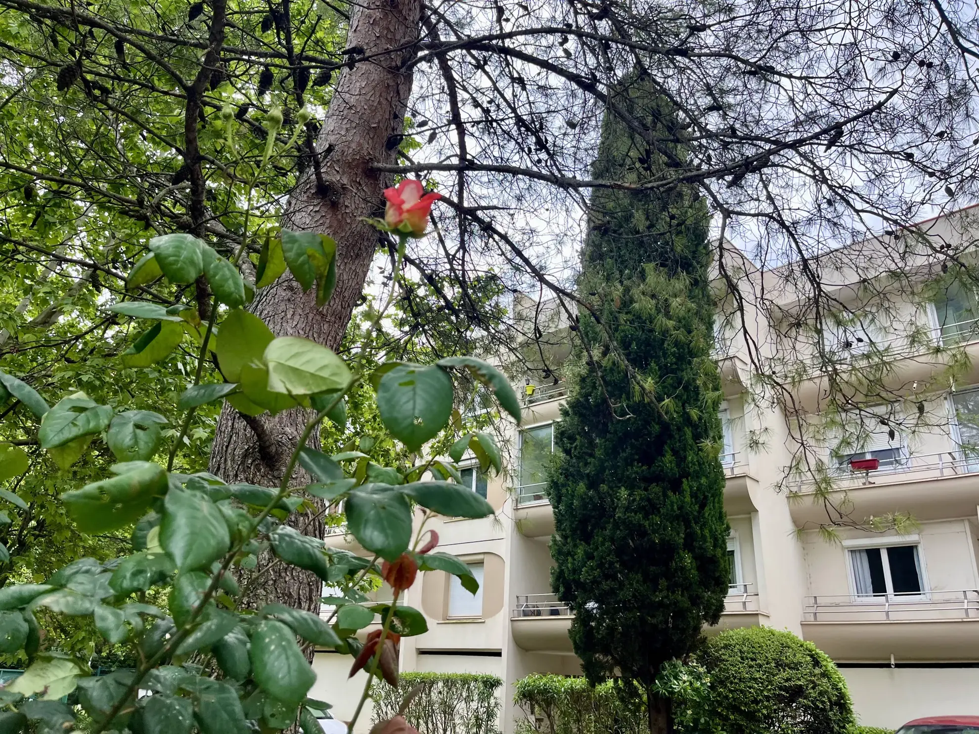 Appartement T3 lumineux avec loggia dans résidence sécurisée à Montpellier Estanove 
