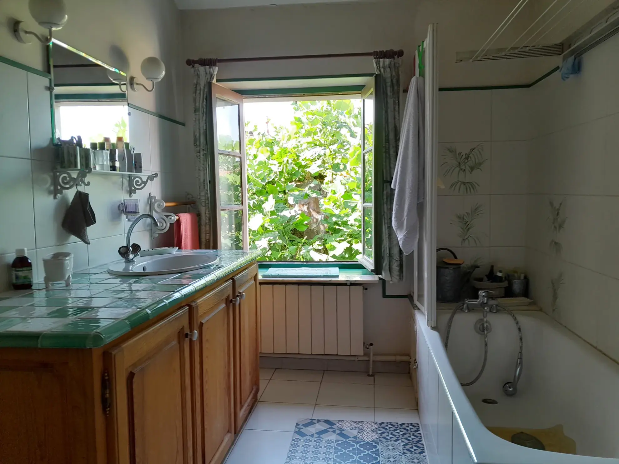 Maison de charme avec jardin, gîte et local commercial à Malause près du Canal du Midi 