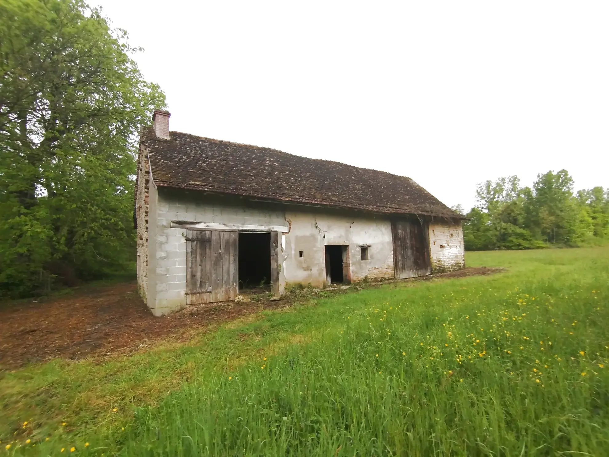 Fermette à rénover en campagne de 704 m² proche village - Prix attractif 