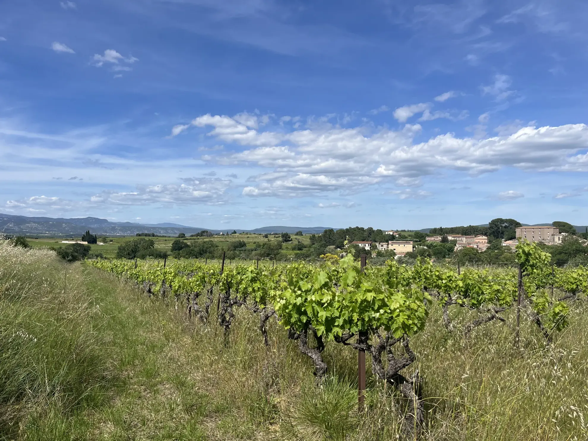 Terrain agricole avec vignoble à Gignac, vue dégagée, 2000 m² 