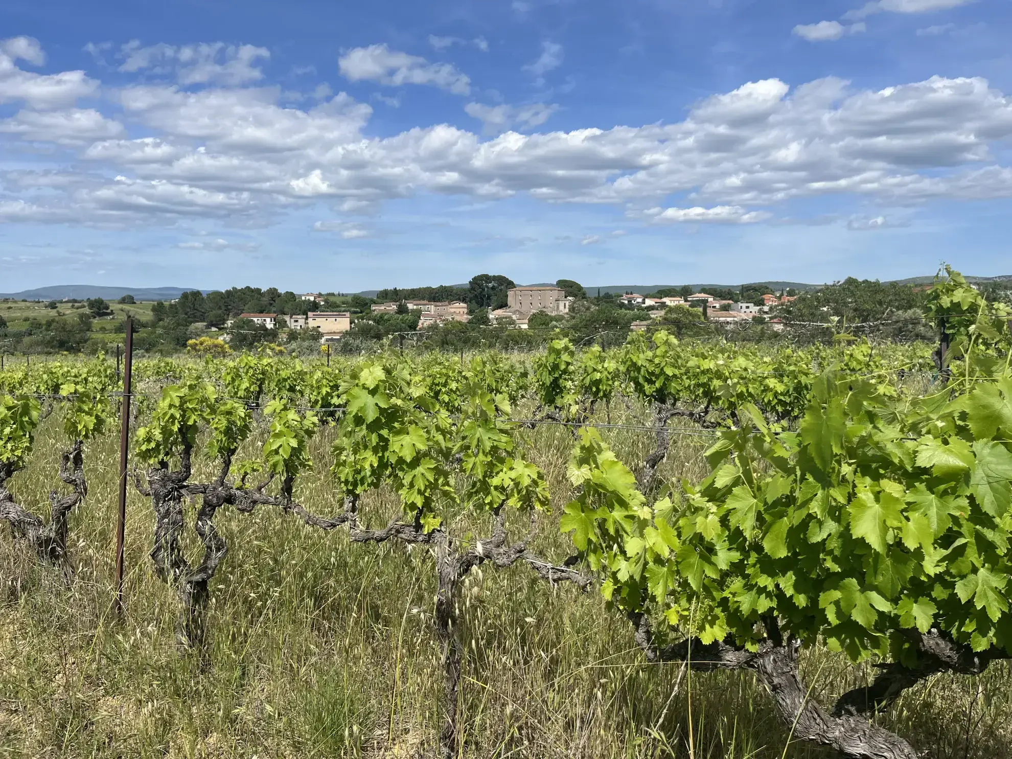 Terrain agricole avec vignoble à Gignac, vue dégagée, 2000 m² 