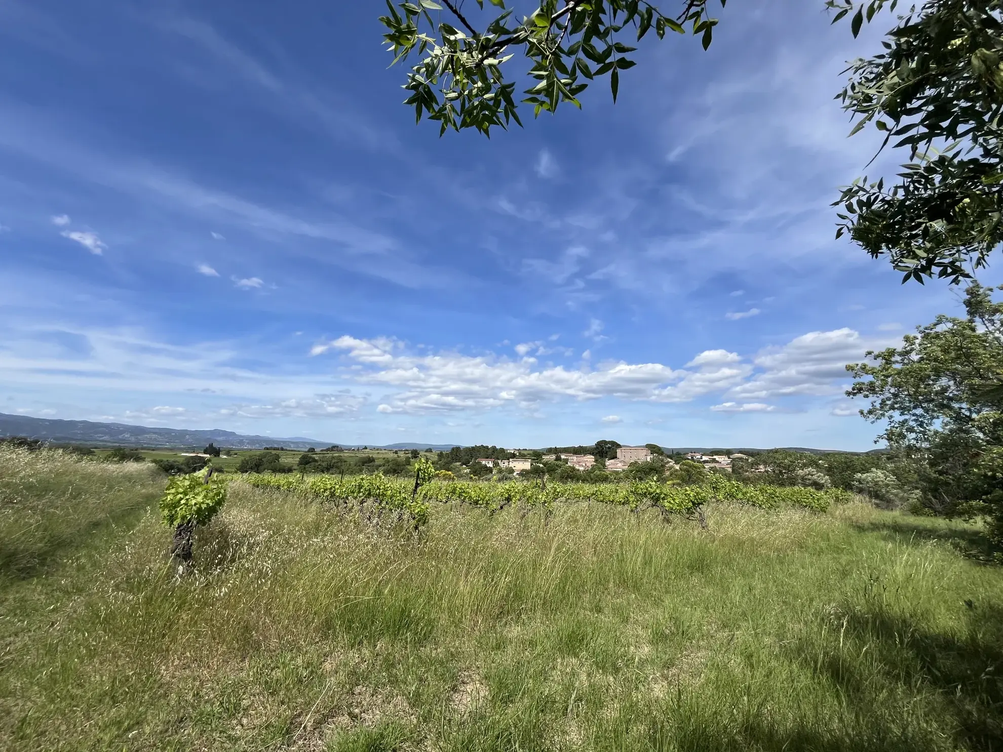Terrain agricole avec vignoble à Gignac, vue dégagée, 2000 m²