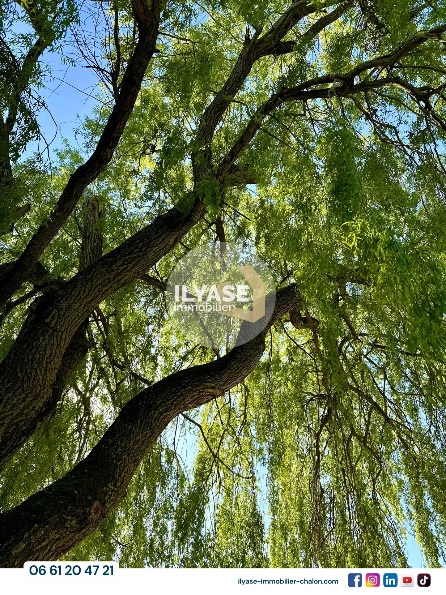 Belle maison de 130 m² avec piscine, 3 chambres, garage et grand jardin à Allériot 