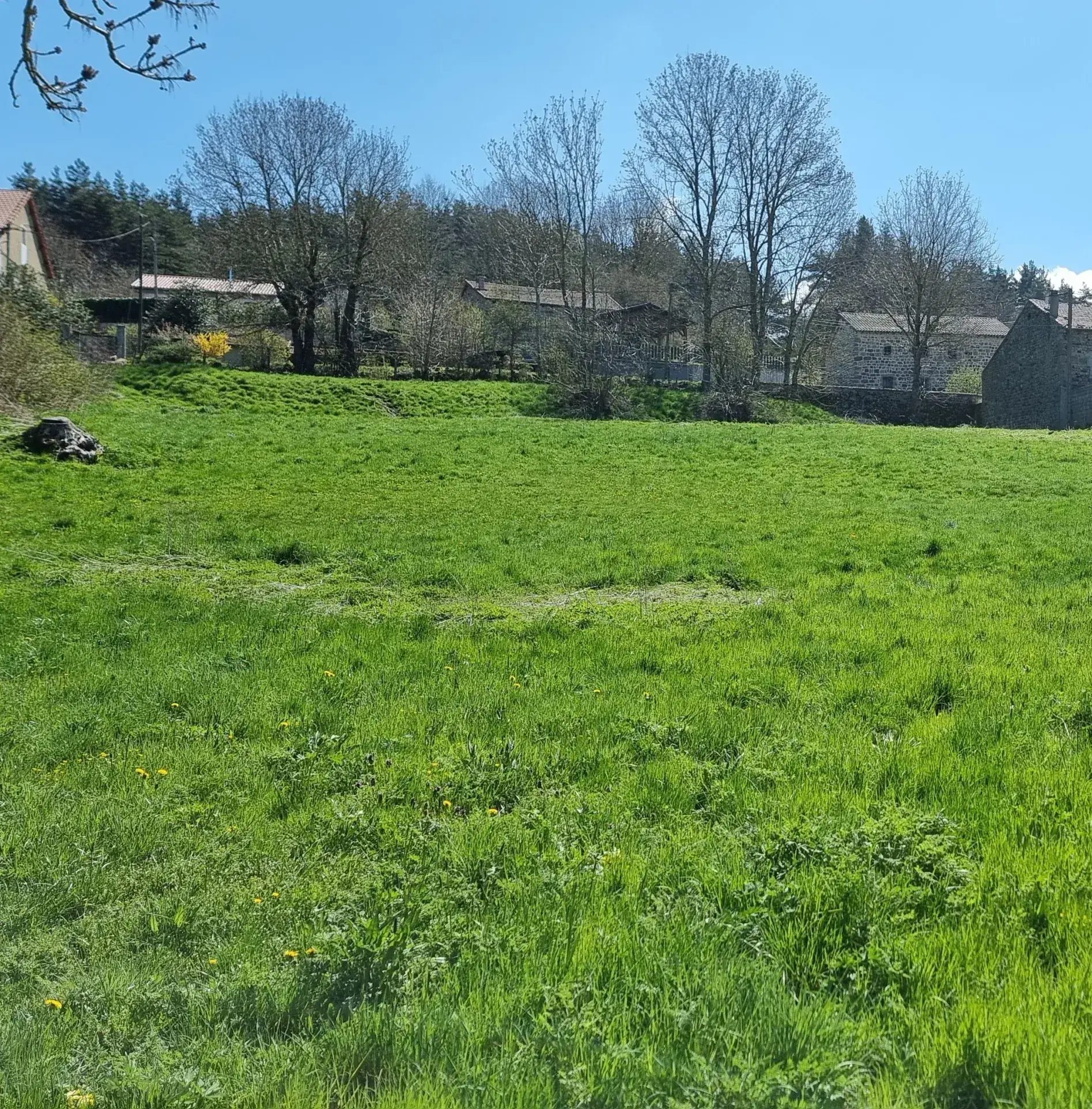 Terrain constructible à vendre à Coucouron, 4 165 m² avec permis, au prix de 54 000 € 