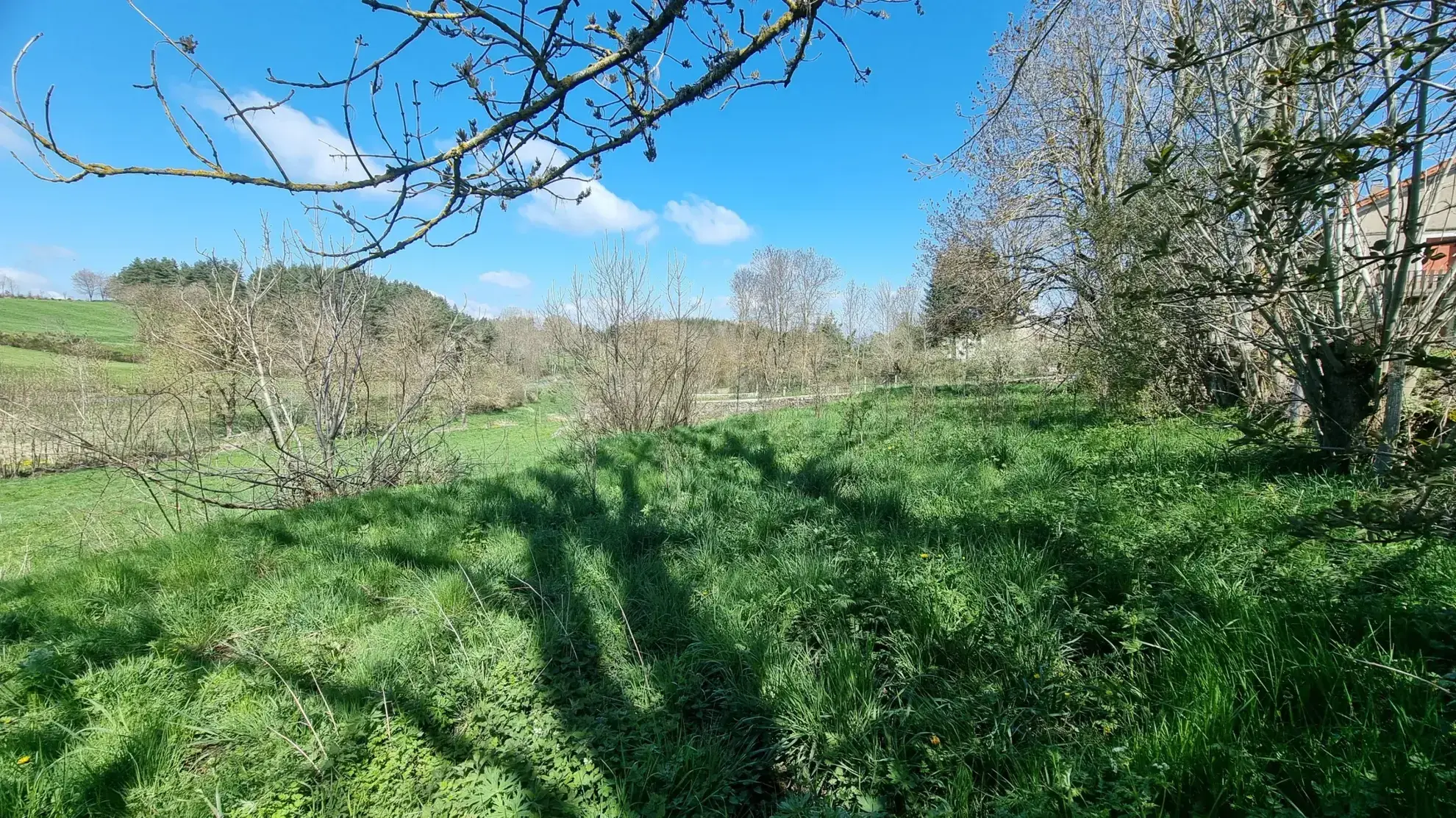 Terrain constructible à vendre à Coucouron, 4 165 m² avec permis, au prix de 54 000 € 