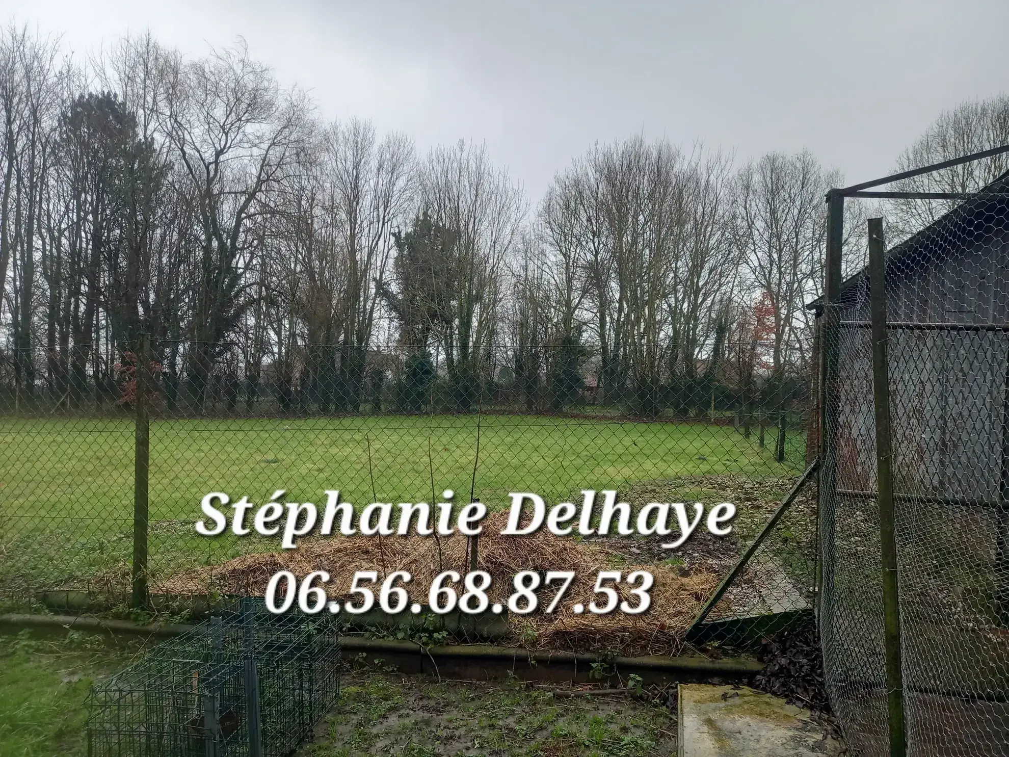 Belle maison de 175 m² avec dépendances et terrain à Erin – Potentiel pour artisan ou animaux 