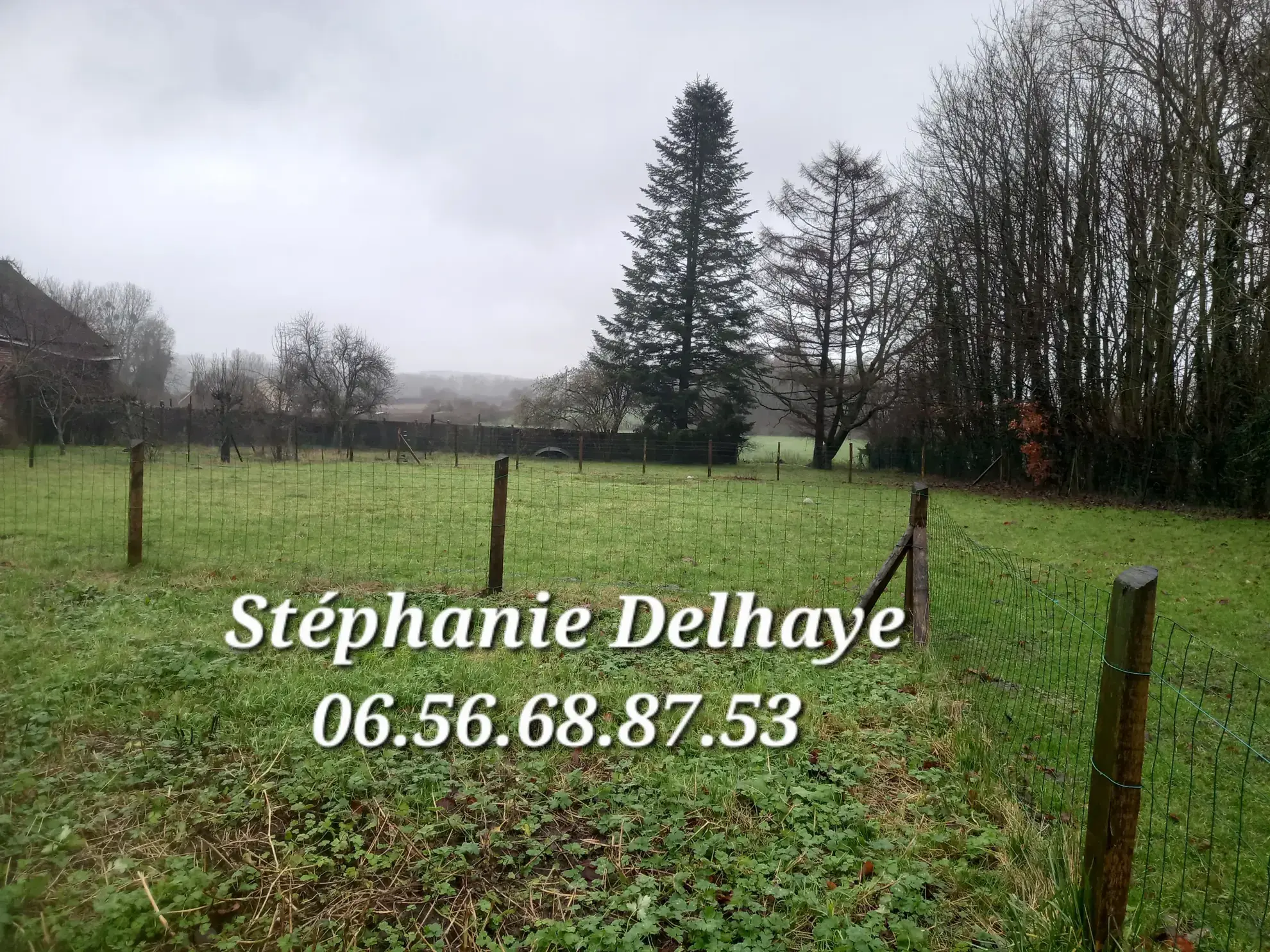 Belle maison de 175 m² avec dépendances et terrain à Erin – Potentiel pour artisan ou animaux 