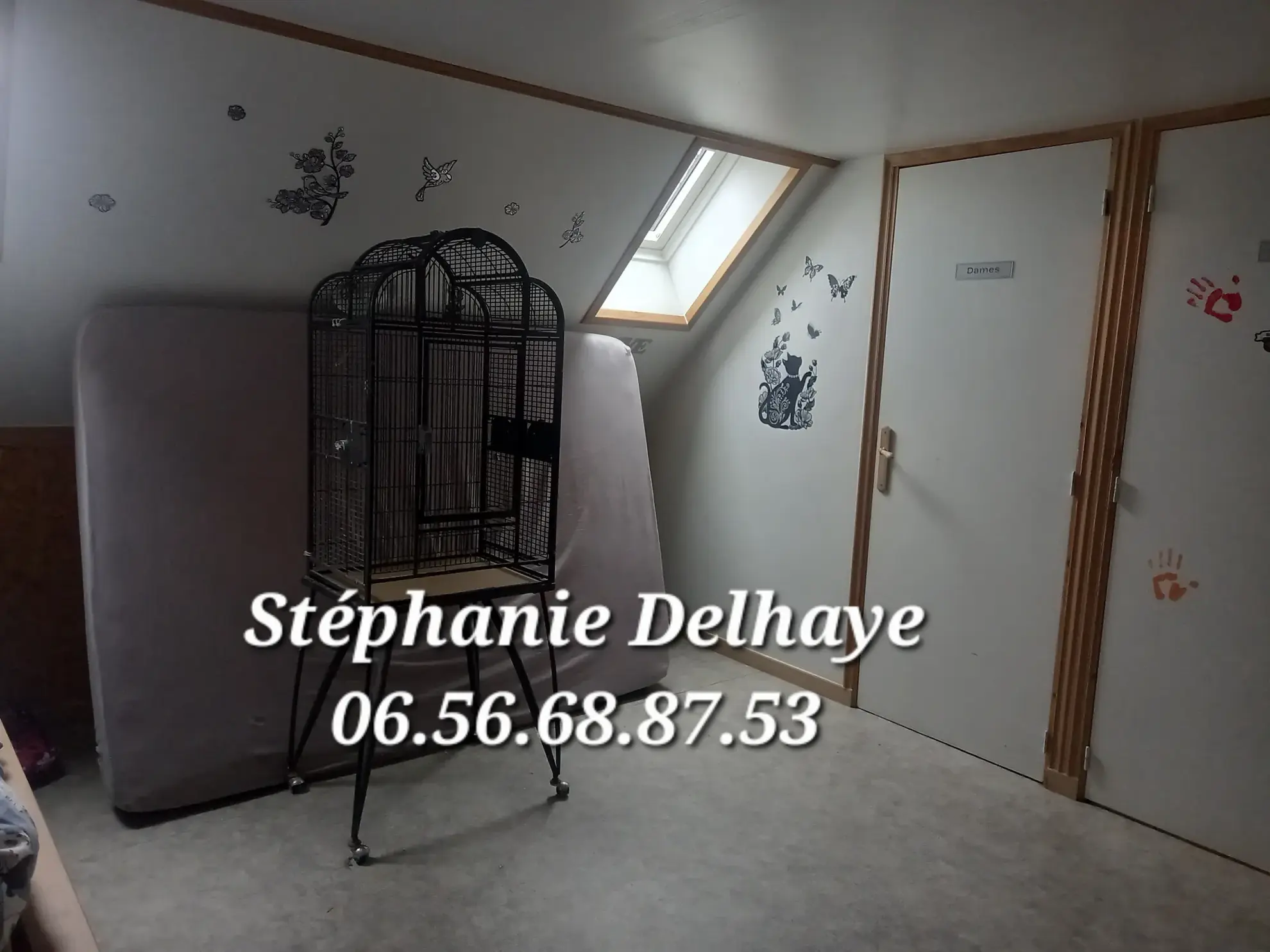 Belle maison de 175 m² avec dépendances et terrain à Erin – Potentiel pour artisan ou animaux 