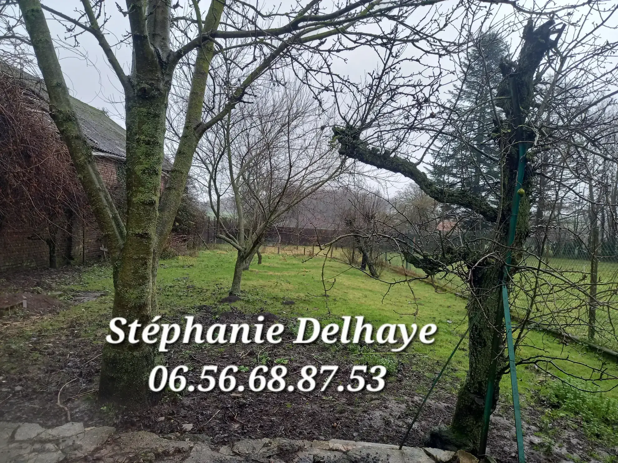 Belle maison de 175 m² avec dépendances et terrain à Erin – Potentiel pour artisan ou animaux 