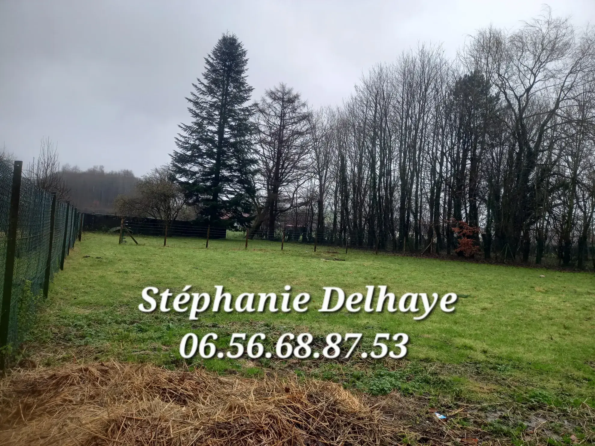 Belle maison de 175 m² avec dépendances et terrain à Erin – Potentiel pour artisan ou animaux 