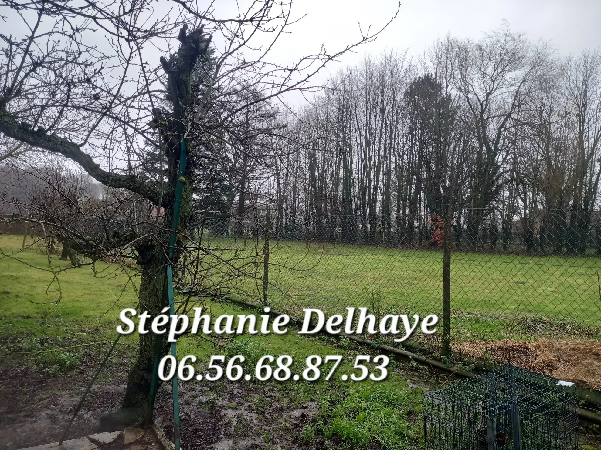 Belle maison de 175 m² avec dépendances et terrain à Erin – Potentiel pour artisan ou animaux 